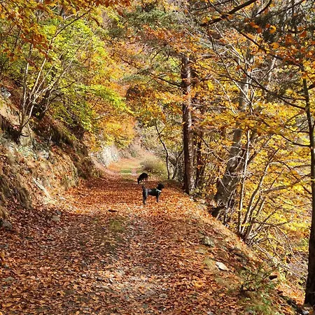 Appartement Vacanze In Graziosa Borgata Alpina *